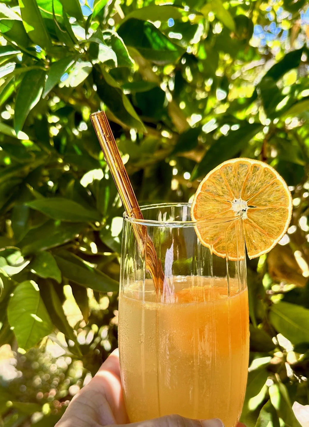 Golden Hour Indulgence